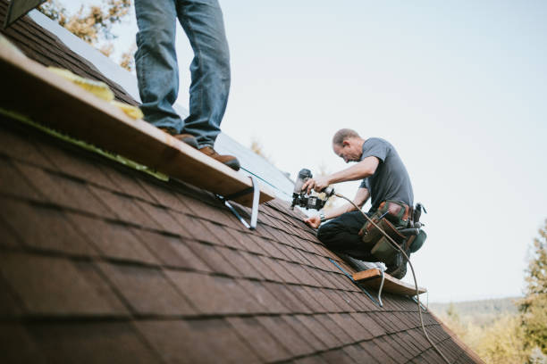 Best New Roof Installation  in Mcnary, AZ